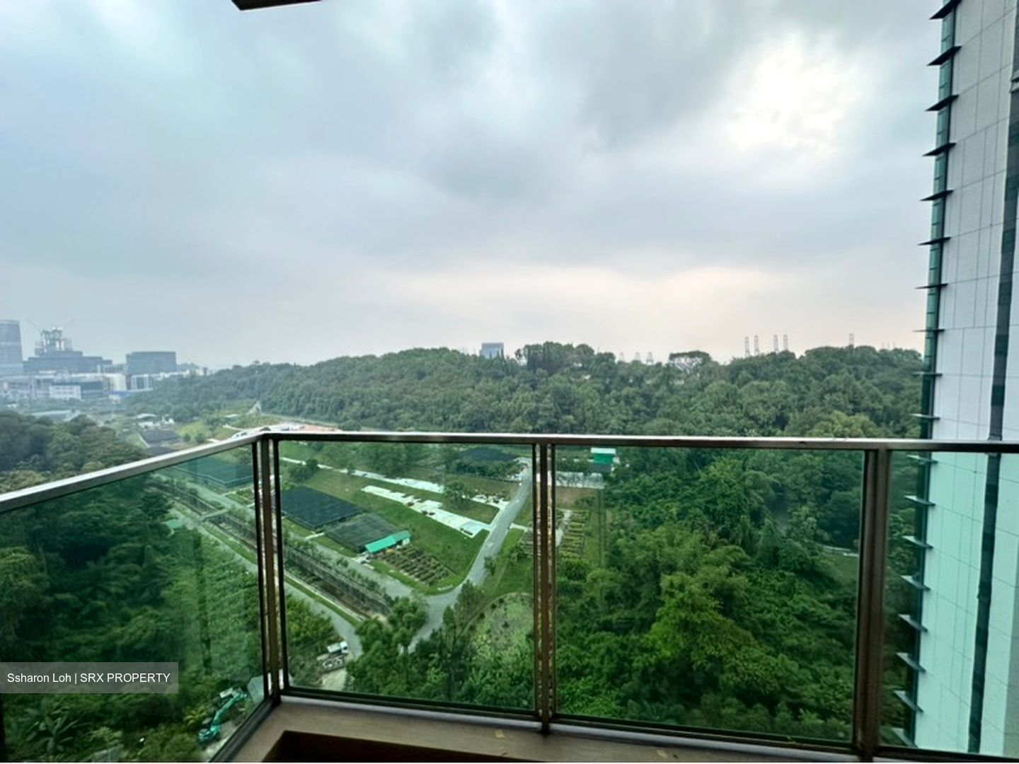 Normanton Park (D5), Apartment #598730501